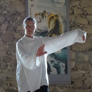 DANSER LA VIE- Copie